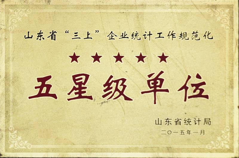 五星级单位